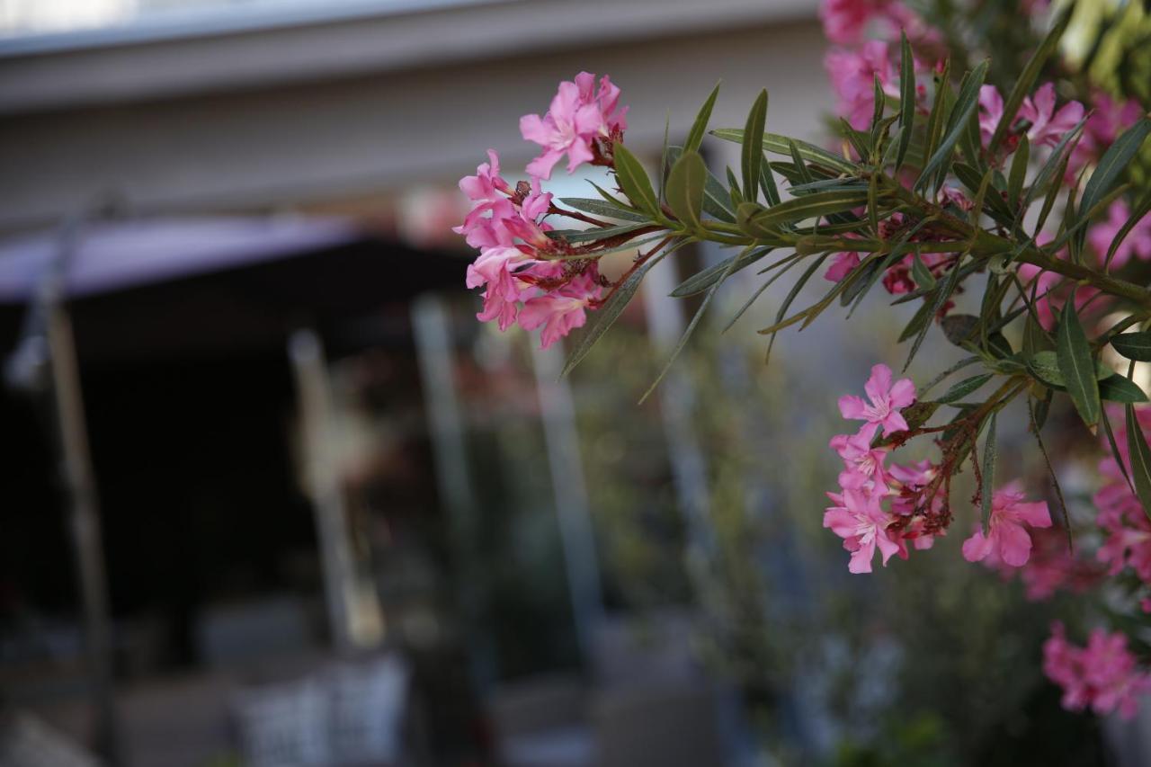 Guest House Lorenta Vodice Extérieur photo